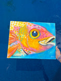 Rainbow Fish