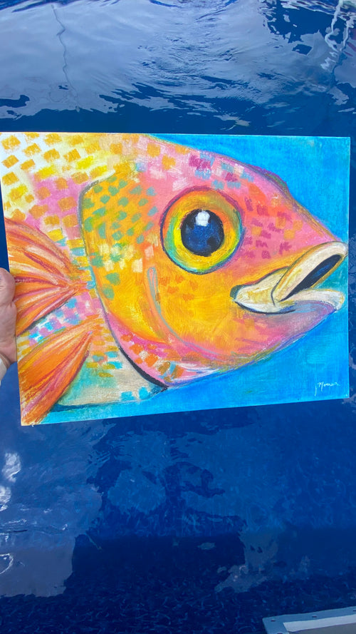Rainbow Fish